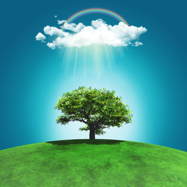 grassy-landscape-with-tree-raincloud-800.jpg